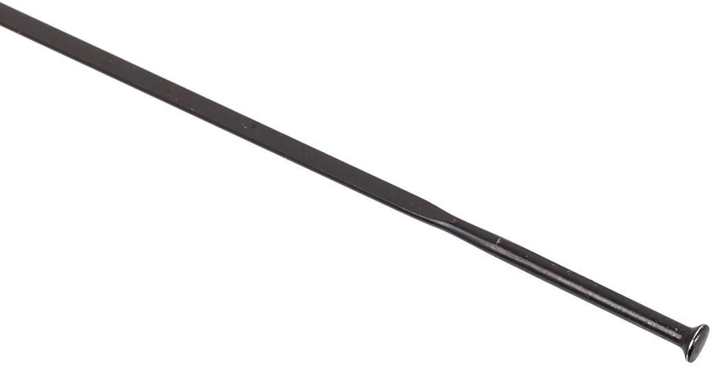 Campagnolo® Scirocco H35 Mm Ersatzspeichen Ab Modell 2013 2 Campagnolo® Scirocco H35 Mm Ersatzspeichen Ab Modell 2013 – Bild 2